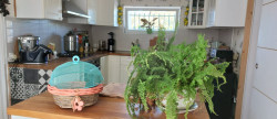vente Maison Virollet