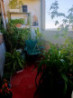 vente Duplex Reze