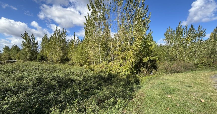 vente Terrain boisé – forêt Morannes