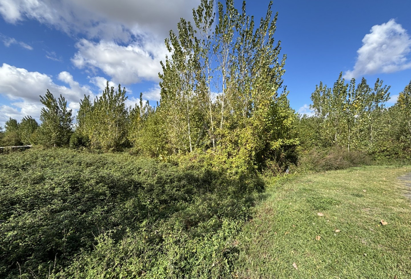 vente Terrain boisé – forêt Morannes - Photo 4