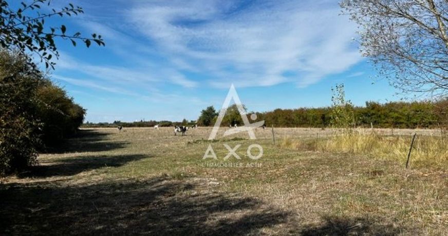 vente Maison Saint Brisson Sur Loire