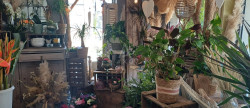 vente Fleuriste Les Grandes Ventes