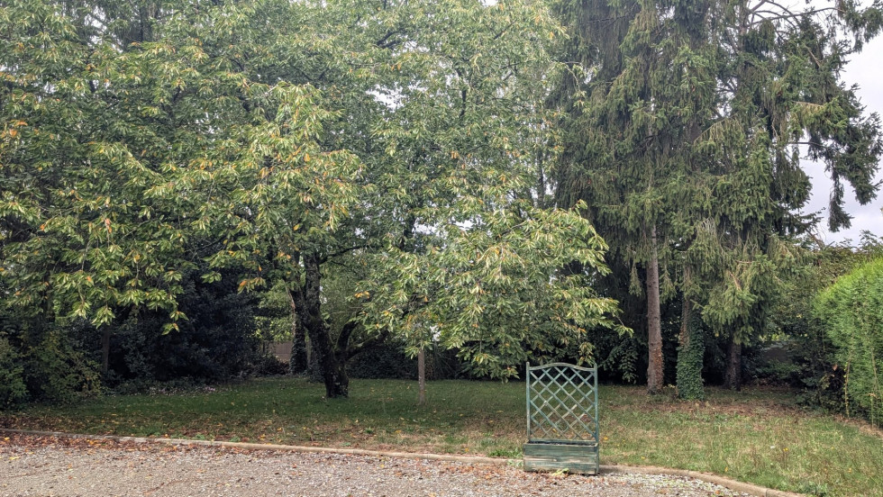 vente Maison Bourgbarre - Photo 8