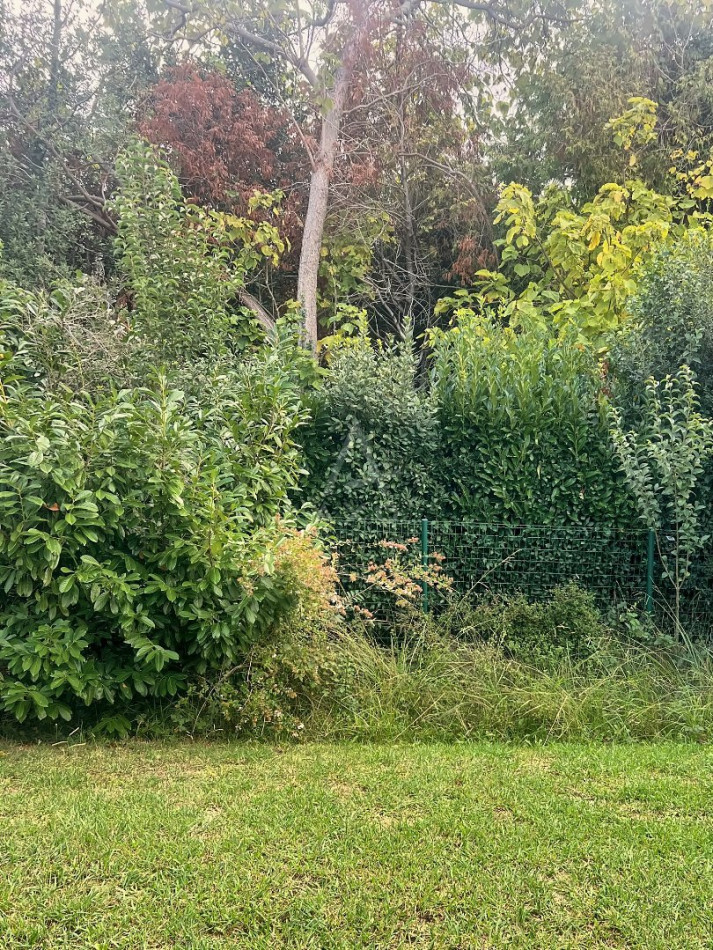 vente Maison Saint Martin De Seignanx - Photo 5