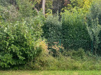 vente Maison Saint Martin De Seignanx