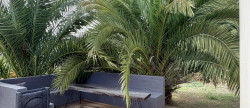 vente Maison Ploemel