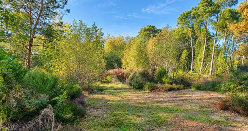 vente Maison Challes