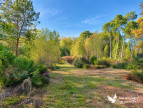 vente Maison Challes