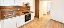 vente Appartement Guebwiller