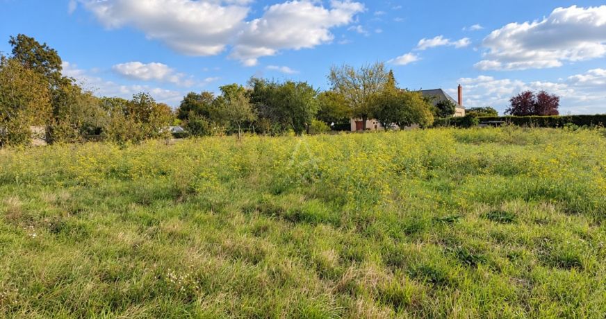 vente Maison Daumeray