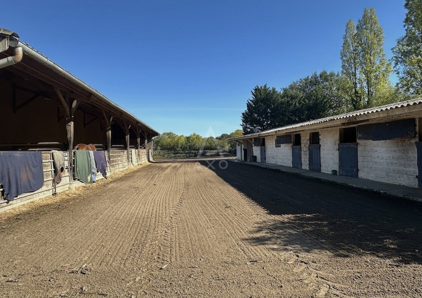 vente Haras / equestre Durtal - Photo 14