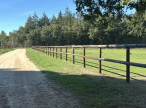 vente Haras / equestre Durtal