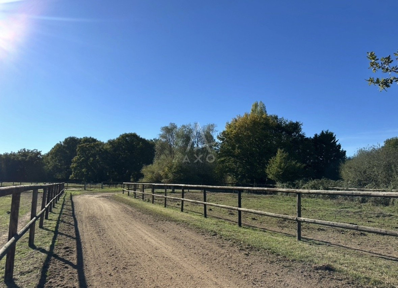 vente Haras / equestre Durtal - Photo 18