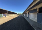 vente Haras / equestre Durtal