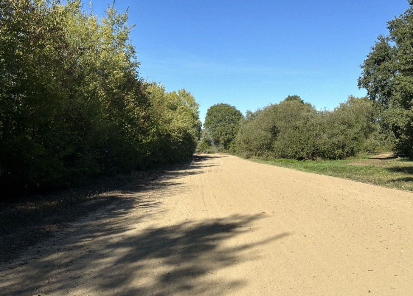 vente Haras / equestre Durtal - Photo 5