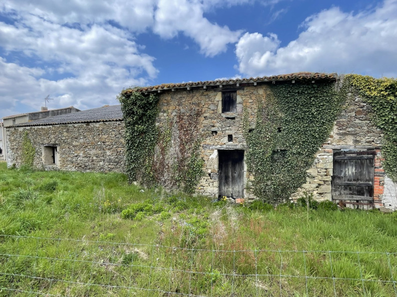 vente Maison à rénover Les Brouzils - Photo 1