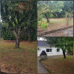 location Maison Le Landreau