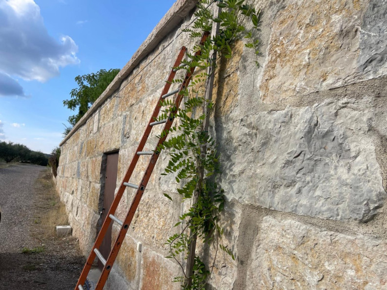 vente Terrain de loisir Lieuran Cabrieres - Photo 4