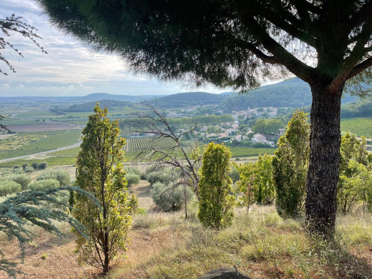 vente Terrain de loisir Lieuran Cabrieres - Photo 12