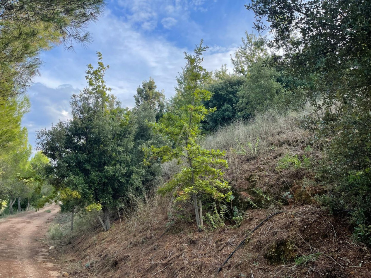 vente Terrain de loisir Lieuran Cabrieres - Photo 15