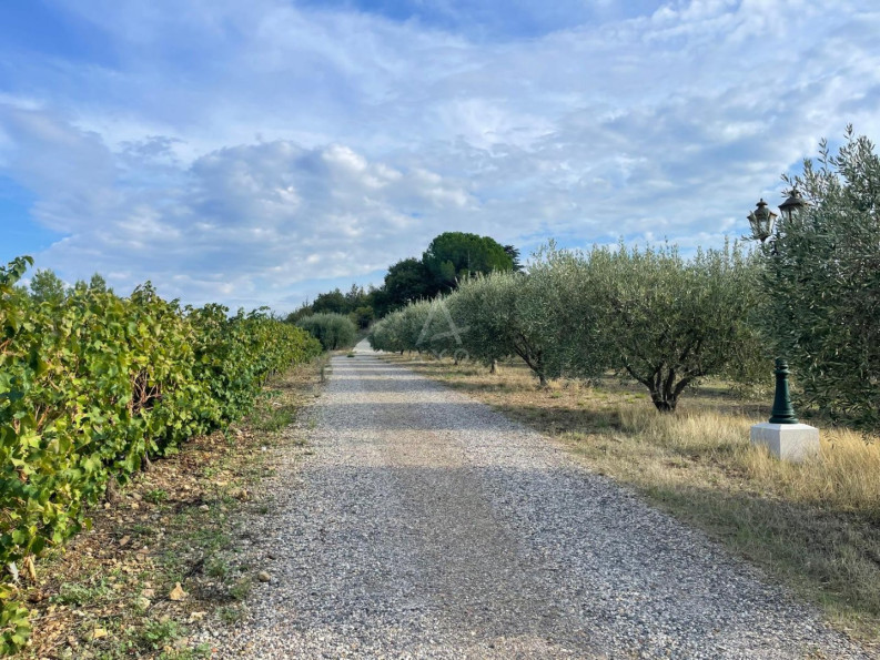 vente Terrain de loisir Lieuran Cabrieres - Photo 8
