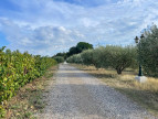 vente Terrain de loisir Lieuran Cabrieres