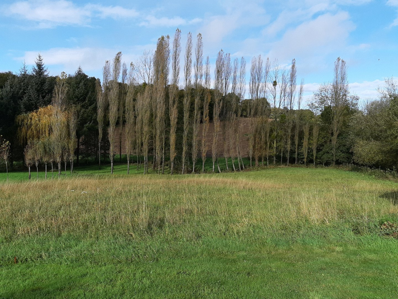 vente Maison Pledran - Photo 2