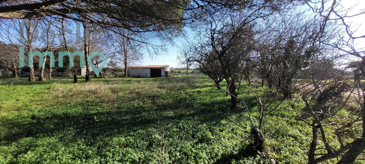 vente Terrain constructible Saint Hilaire La Foret - Photo 3