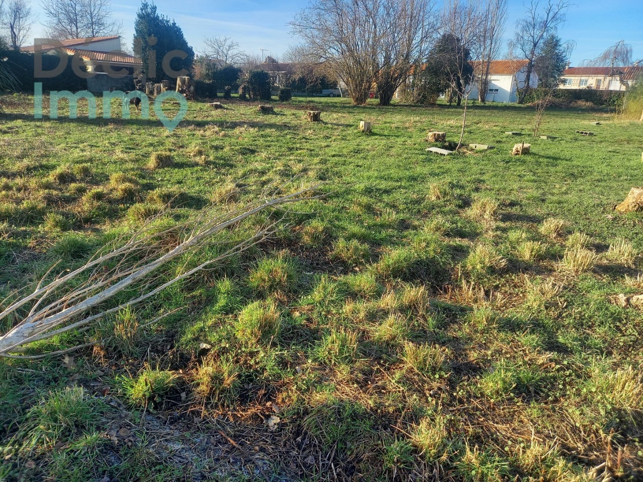 vente Terrain Le Poire Sur Vie - Photo 2