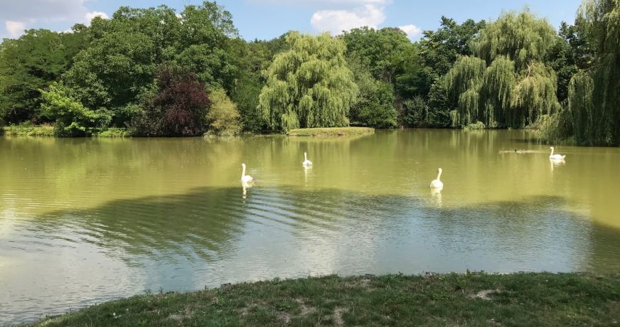 vente Château Tournon Saint Pierre