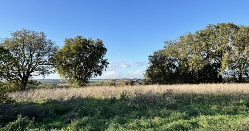 vente Maison Pleumartin