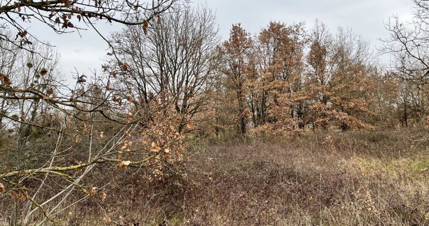 vente Terrain de loisir Yzeures Sur Creuse