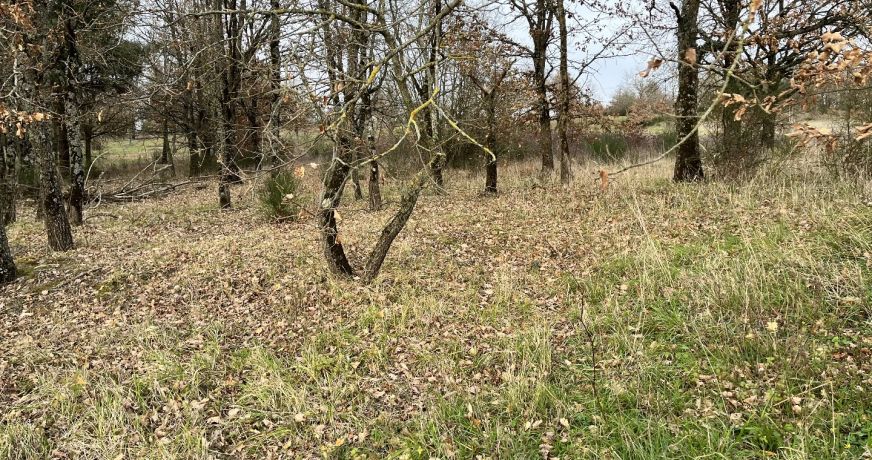 vente Terrain de loisir Yzeures Sur Creuse