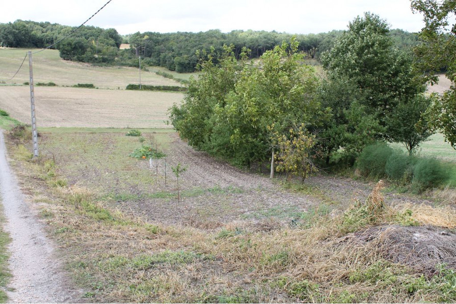 vente Maison Lesigny