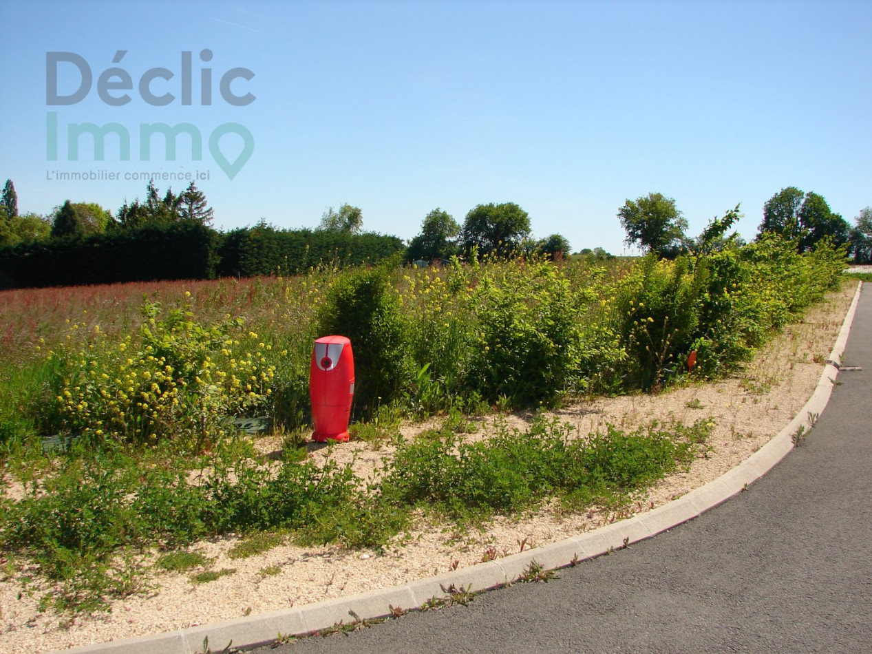 vente Terrain Latille - Photo 1
