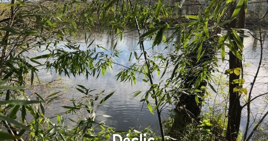 vente Maison La Chapelle Mouliere