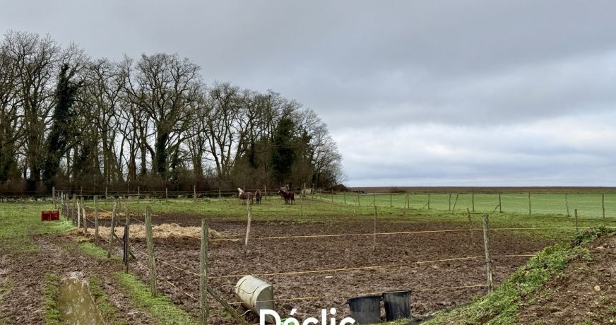 vente Haras / equestre Loudun