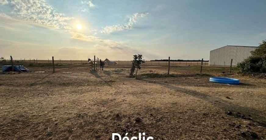 vente Haras / equestre Aulnay