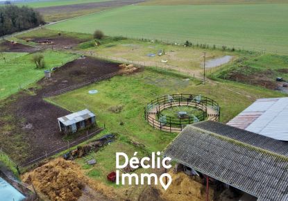 vente Haras / equestre Loudun