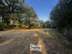 vente Terrain constructible Marigny Chemereau