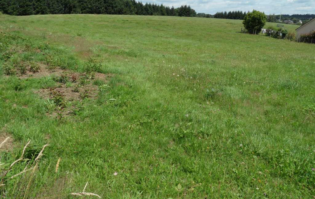 vente Terrain Saint Yrieix La Perche - Photo 2