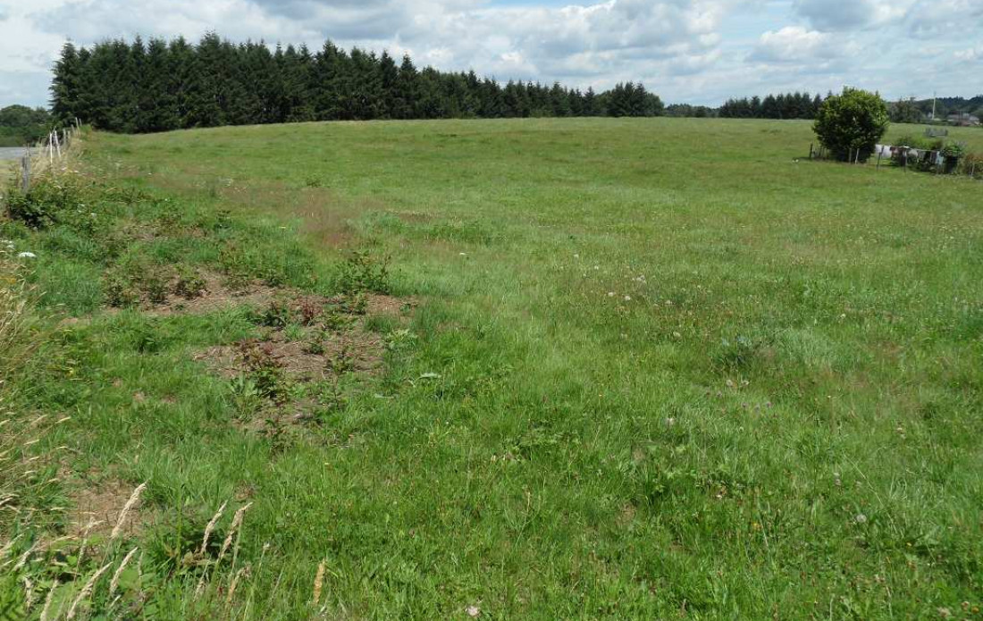 vente Terrain Saint Yrieix La Perche - Photo 4