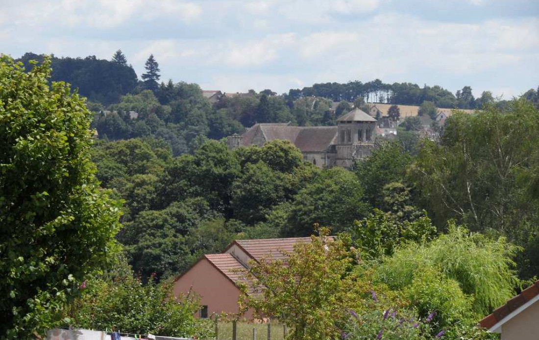 vente Terrain Saint Yrieix La Perche - Photo 3