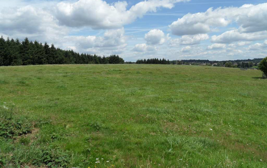 vente Terrain Saint Yrieix La Perche - Photo 1