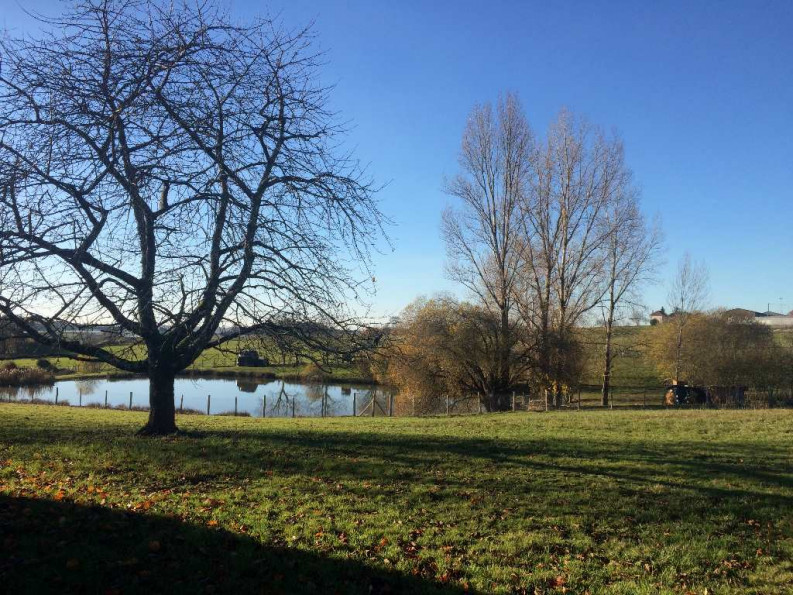 vente Terrain Lanouaille - Photo 1