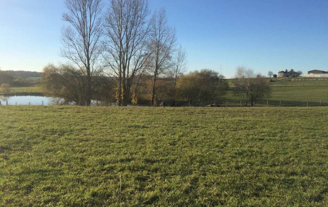 vente Terrain Lanouaille - Photo 7