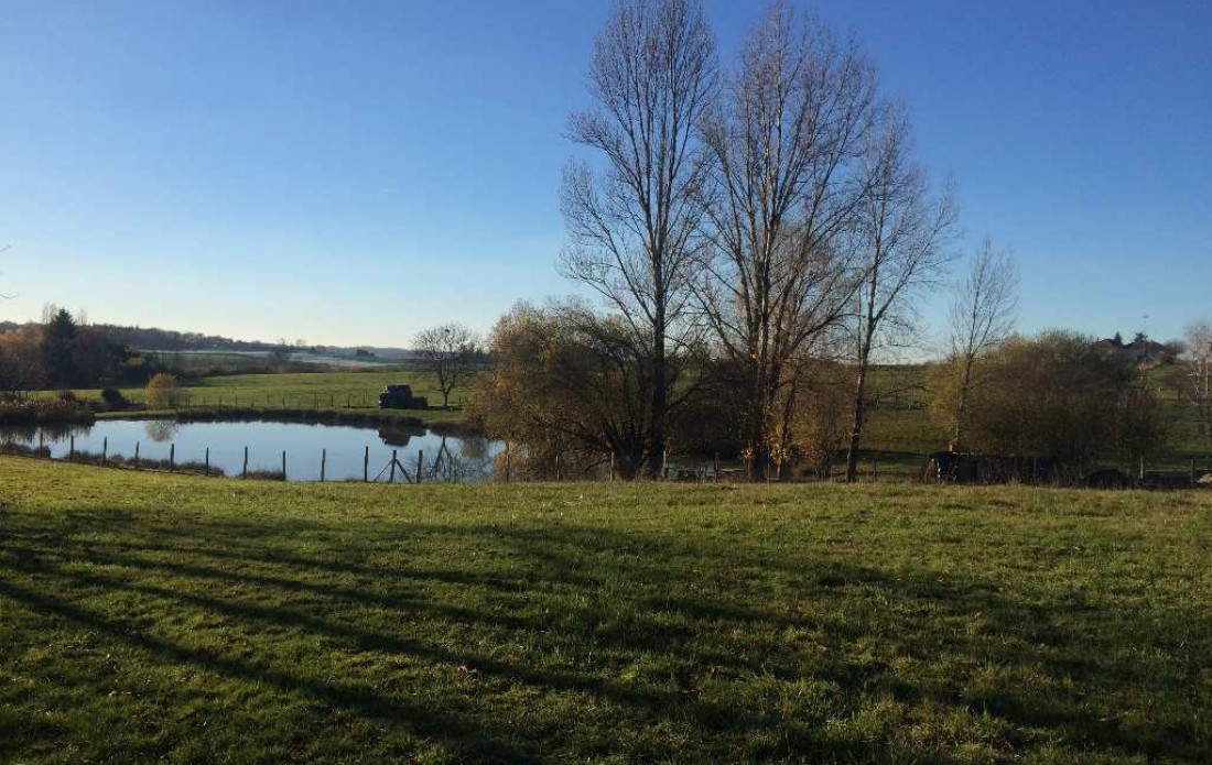 vente Terrain Lanouaille - Photo 8