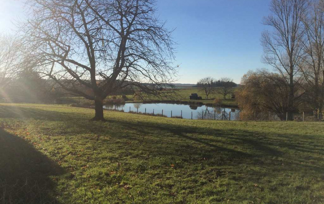 vente Terrain Lanouaille - Photo 4