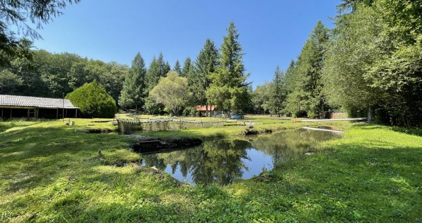 vente Propriété agricole Le Palais Sur Vienne