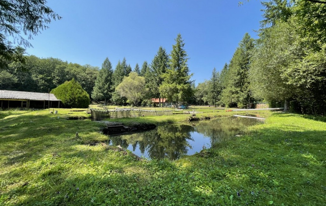 vente Propriété agricole Le Palais Sur Vienne - Photo 7